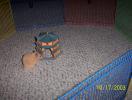 Hamster Photo Nr. 351
